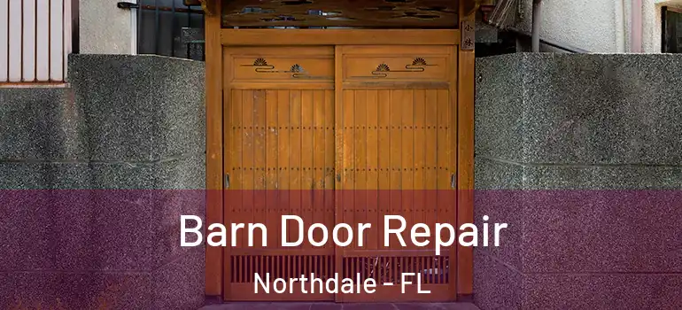 Barn Door Repair Northdale - FL