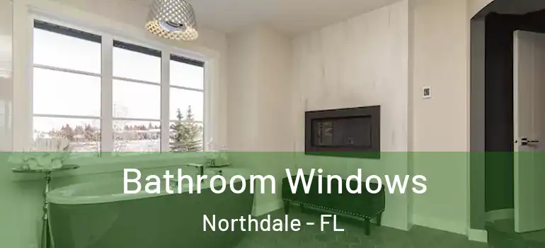 Bathroom Windows Northdale - FL