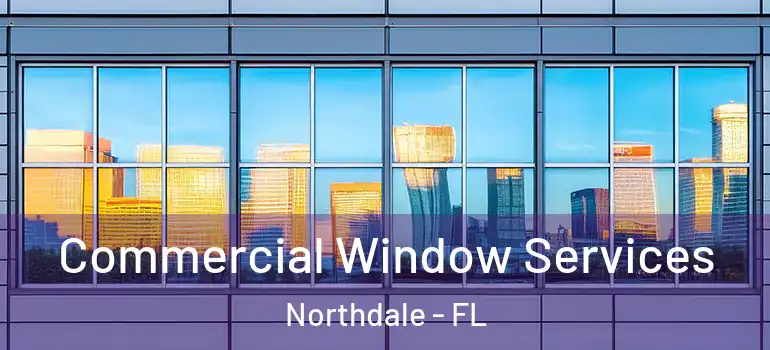  Commercial Window Services Northdale - FL