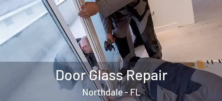 Door Glass Repair Northdale - FL