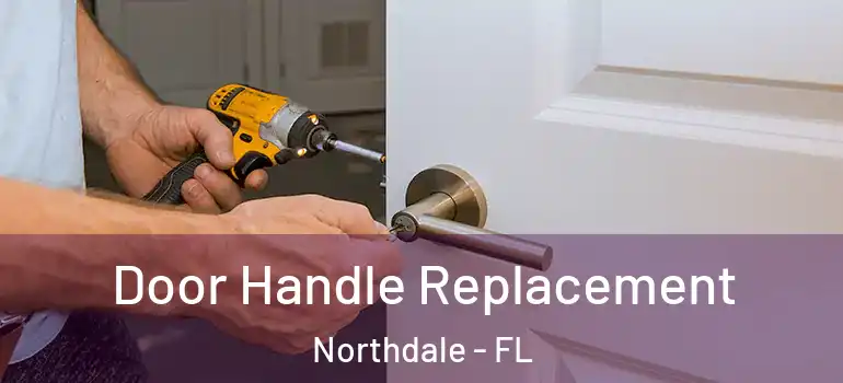 Door Handle Replacement Northdale - FL