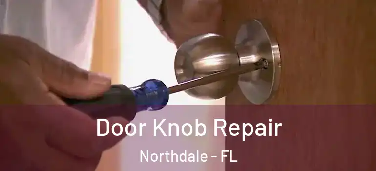 Door Knob Repair Northdale - FL