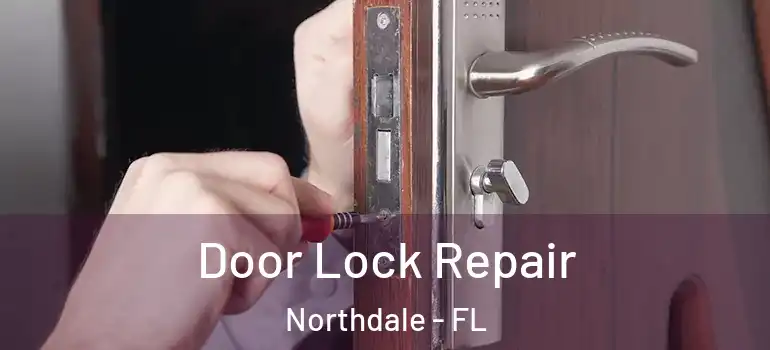 Door Lock Repair Northdale - FL
