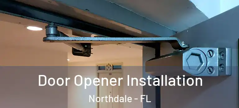 Door Opener Installation Northdale - FL