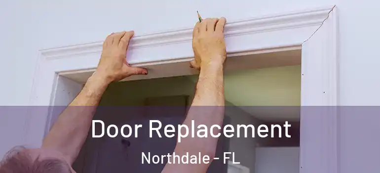 Door Replacement Northdale - FL