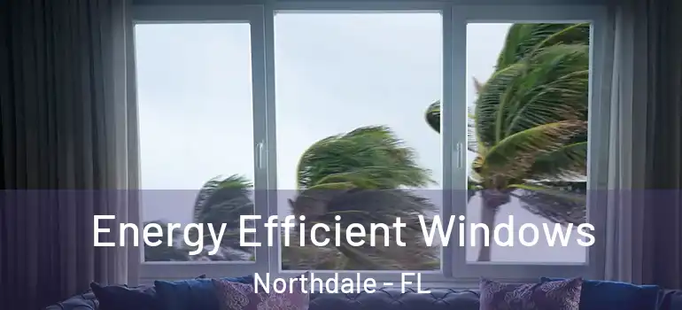 Energy Efficient Windows Northdale - FL