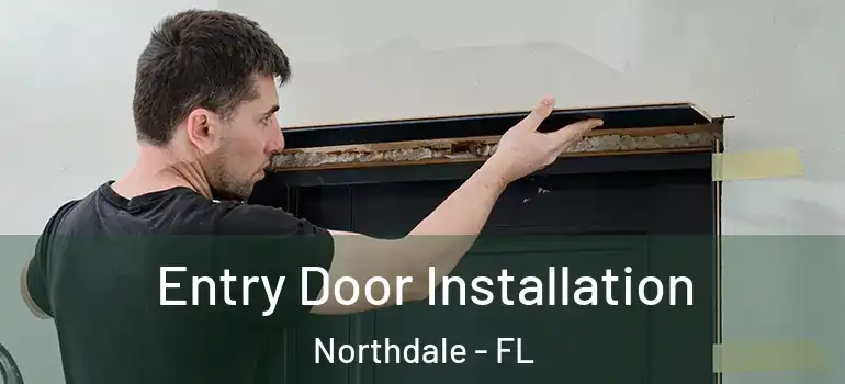 Entry Door Installation Northdale - FL