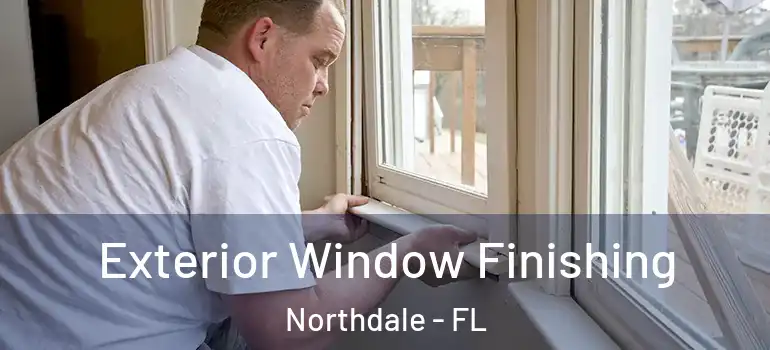 Exterior Window Finishing Northdale - FL