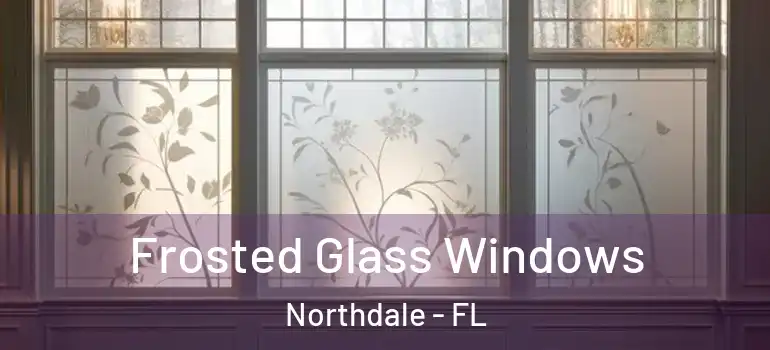 Frosted Glass Windows Northdale - FL