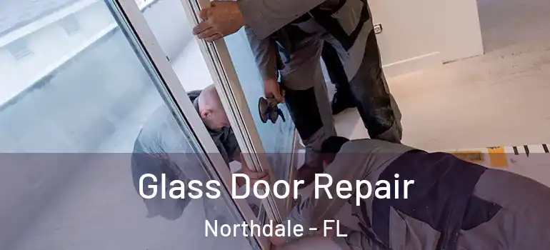 Glass Door Repair Northdale - FL
