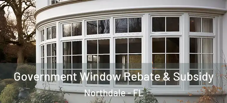 Government Window Rebate & Subsidy Northdale - FL