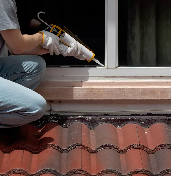 Roof Window Services in Northdale, Florida