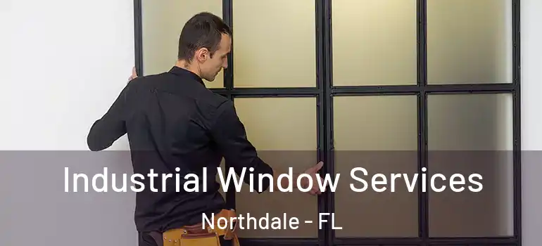 Industrial Window Services Northdale - FL