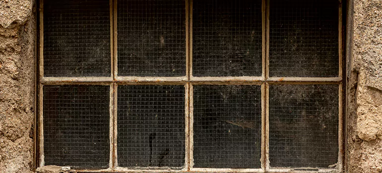 Traditional Double Front Doors in Northdale, FL