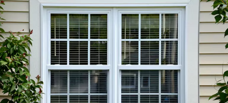 Custom Double Hung Windows in Northdale, FL
