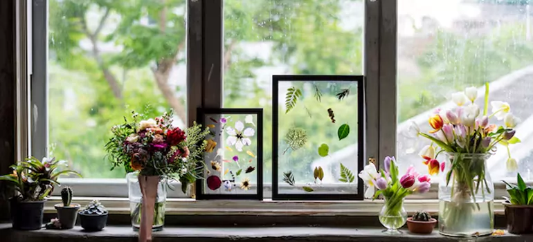 Professional Garden Window Repair in Northdale, FL