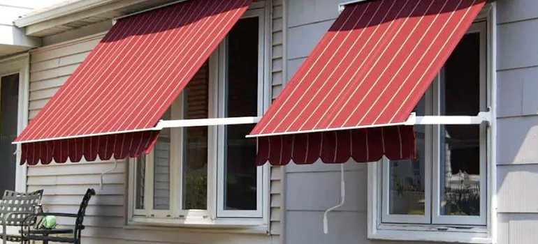 Government Rebate Window Replacement in Northdale, FL