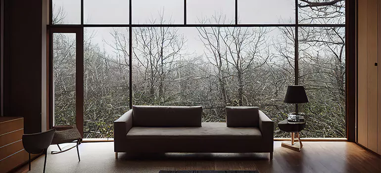 Casement Picture Window in Northdale, FL