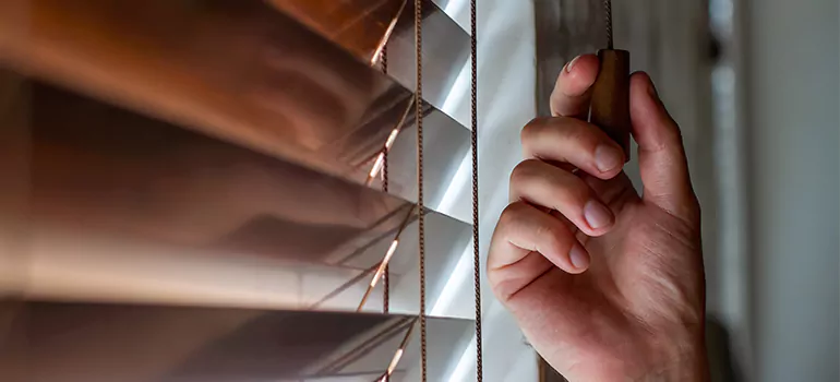 Double Roller Blinds in Northdale, FL