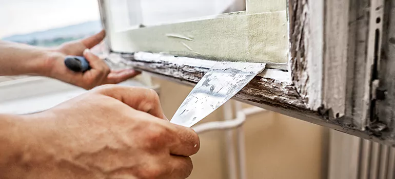 Exterior Window Frame Repair in Northdale, FL