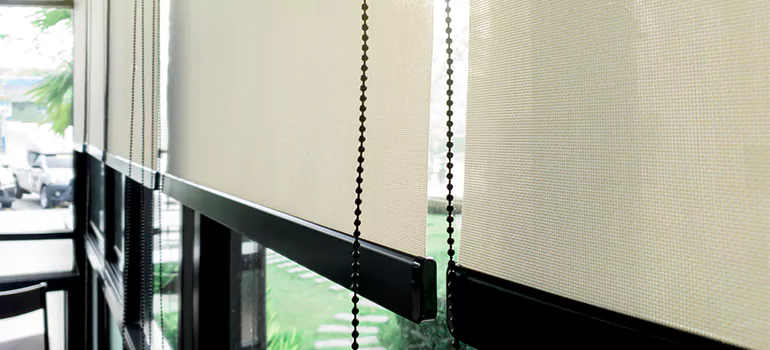 Blackout Window Shades in Northdale, FL