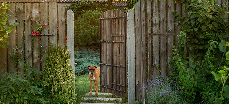 Winter Garden Garage Door Repair in Northdale,[location field=state]