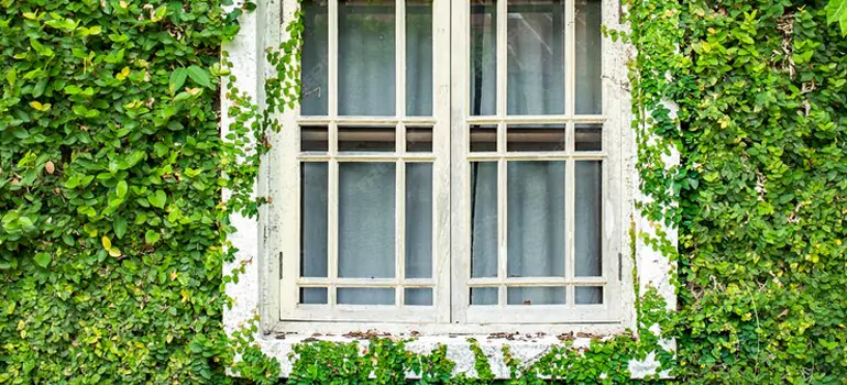 Garden Window Repair Near Me in Northdale, FL