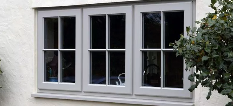 Stormproof Windows With Tinted Glass Services in Northdale, FL