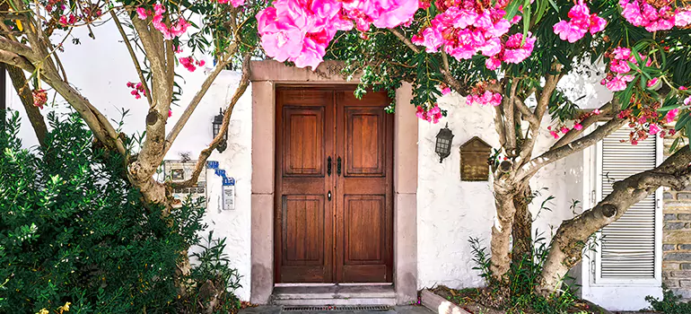 Traditional 4 Panel Internal Doors in Northdale, FL