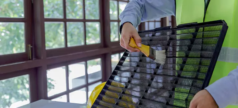 Traditional Window Grille Installation Options in Northdale, FL