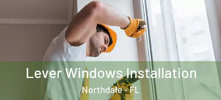 Lever Windows Installation Northdale - FL