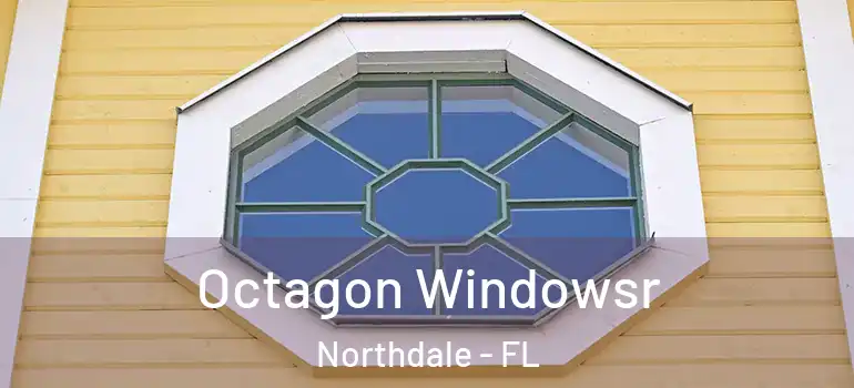 Octagon Windowsr Northdale - FL