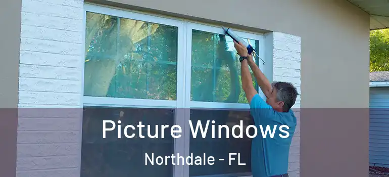 Picture Windows Northdale - FL