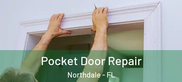 Pocket Door Repair Northdale - FL