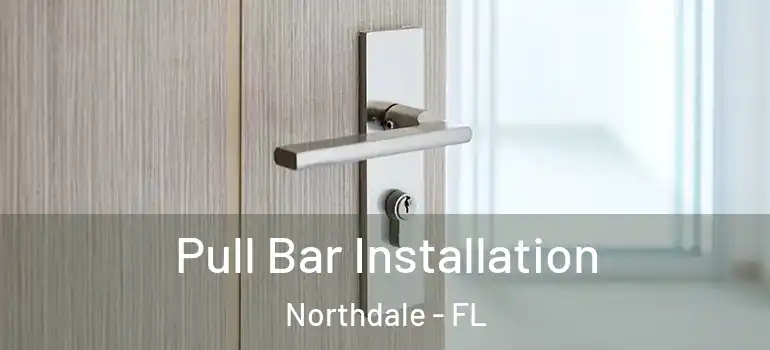 Pull Bar Installation Northdale - FL