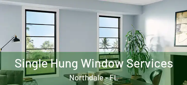 Single Hung Window Services Northdale - FL