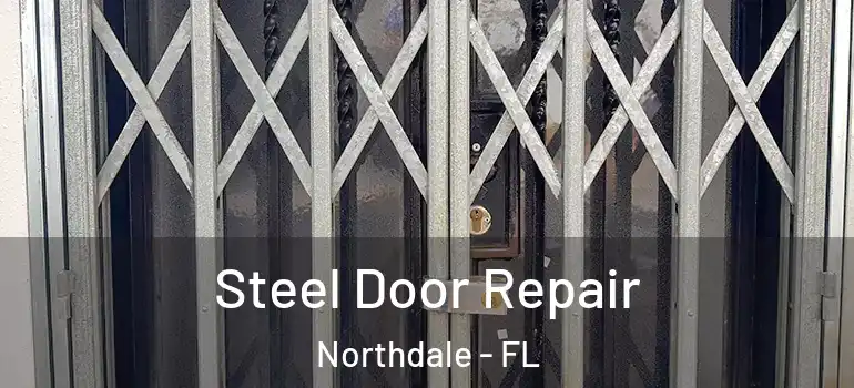 Steel Door Repair Northdale - FL