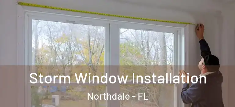 Storm Window Installation Northdale - FL