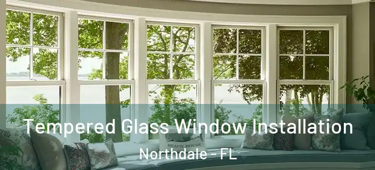 Tempered Glass Window Installation Northdale - FL