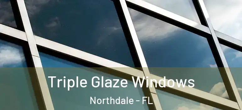 Triple Glaze Windows Northdale - FL