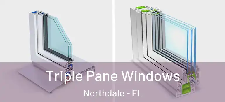 Triple Pane Windows Northdale - FL