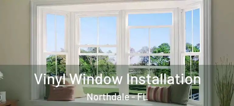 Vinyl Window Installation Northdale - FL