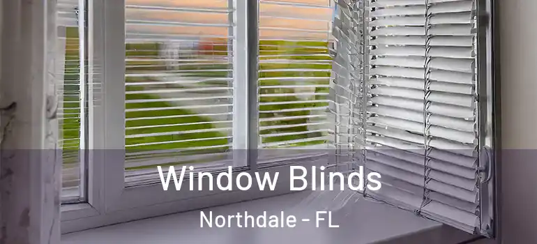 Window Blinds Northdale - FL