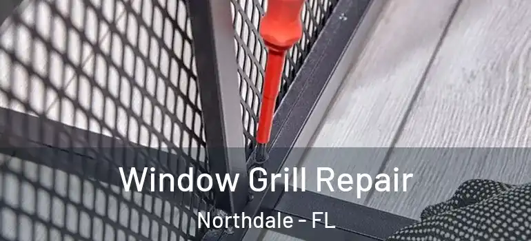  Window Grill Repair Northdale - FL