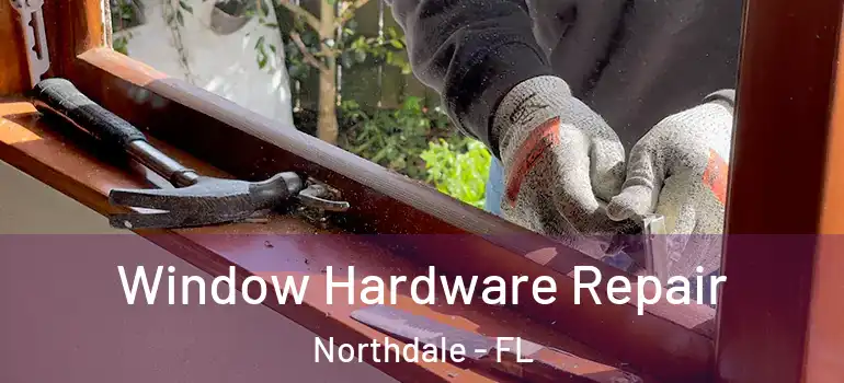 Window Hardware Repair Northdale - FL