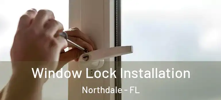 Window Lock Installation Northdale - FL