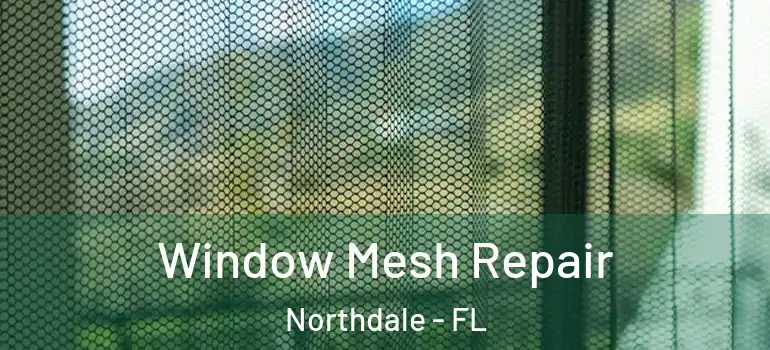 Window Mesh Repair Northdale - FL