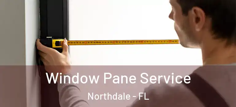 Window Pane Service Northdale - FL