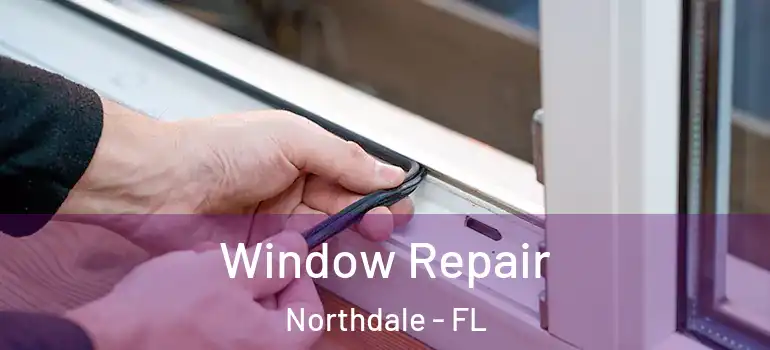 Window Repair Northdale - FL