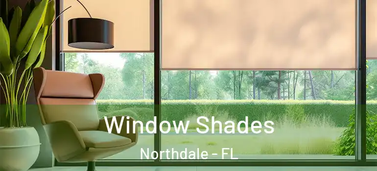 Window Shades Northdale - FL